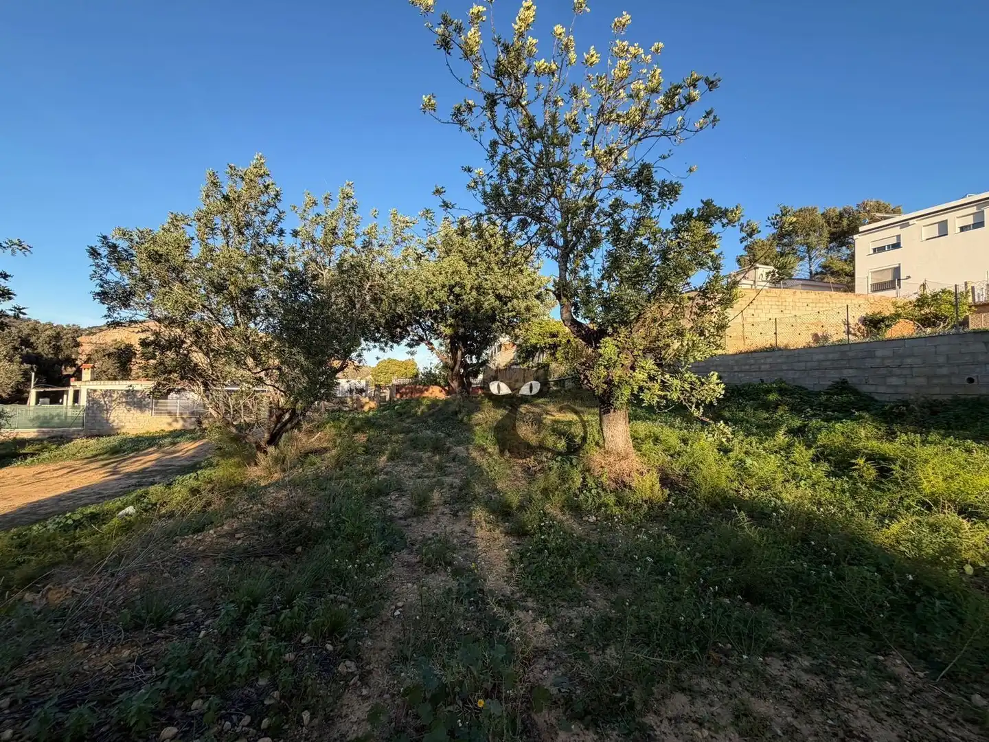 Rural land for sale in Calicanto - Cumbres de Calicanto - Santo Domingo, imagen 16