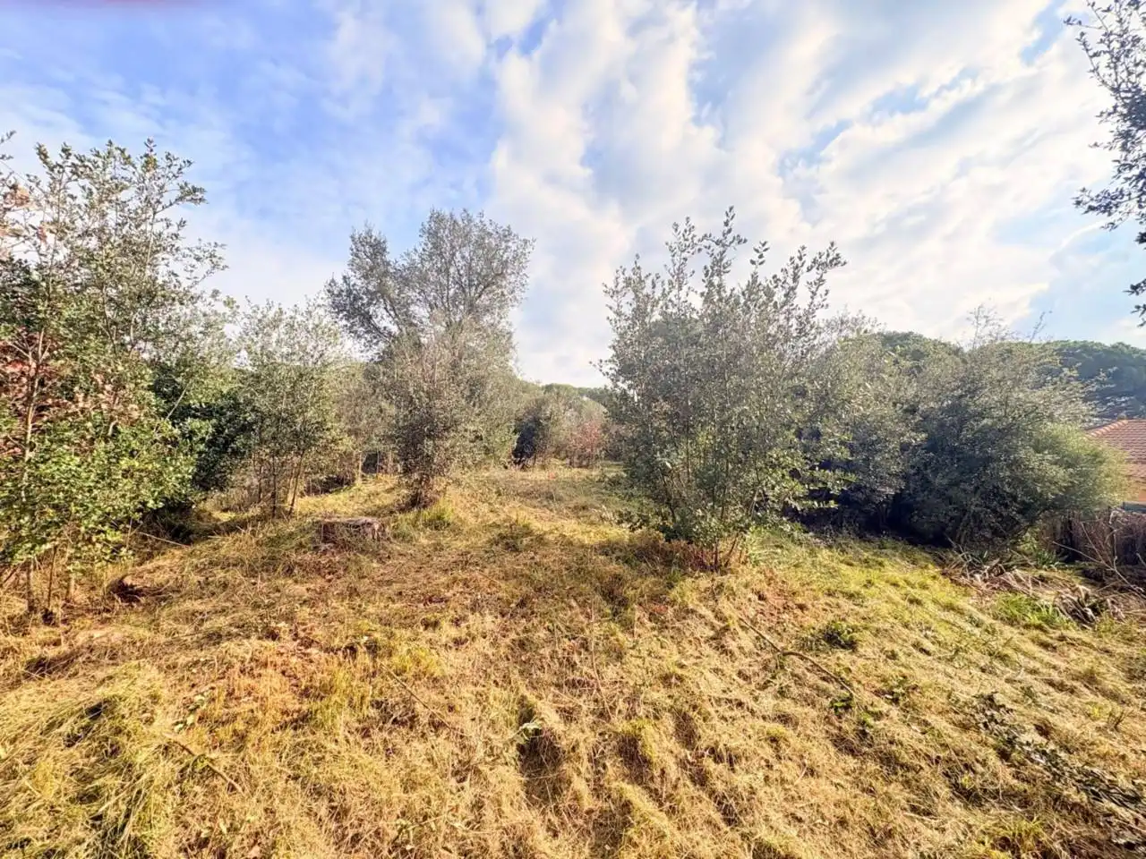 Residential for sale in Caldes de Malavella