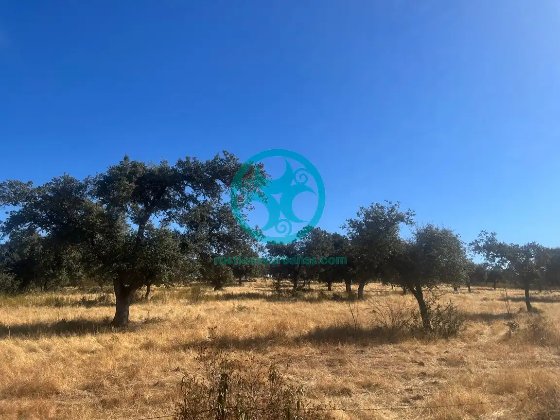 Terreni e lotti in vendita a Valdesalor - Rincón de Ballesteros, imagen 12