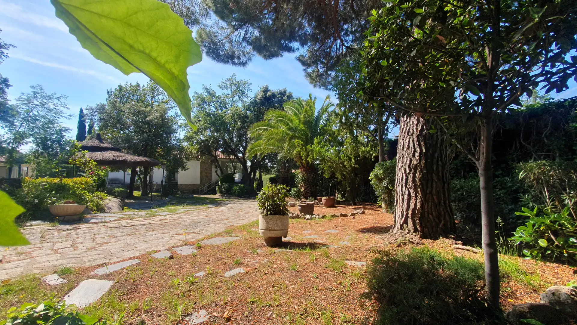 Jardí de Casa o xalet en venda en Valdemorillo amb Calefacció, Jardí privat i Terrassa