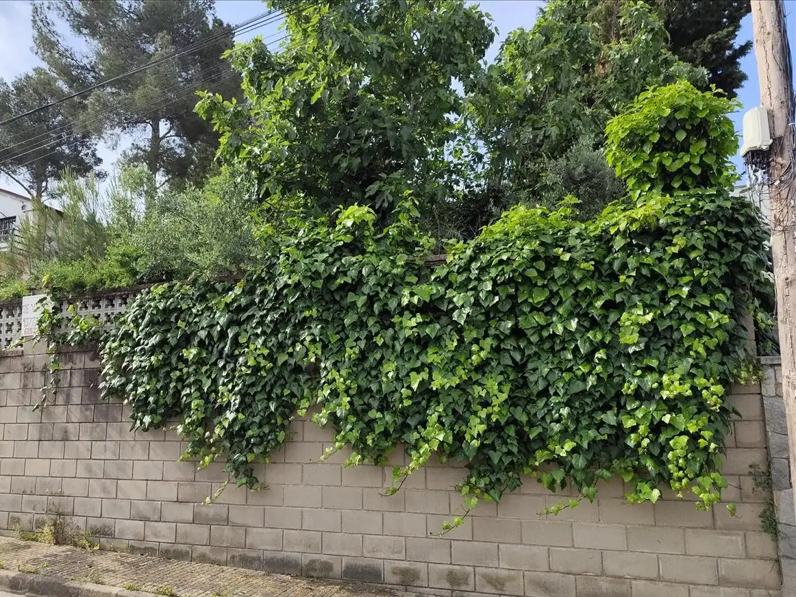 Terreni e lotti in vendita a Bosc, 50, imagen 5