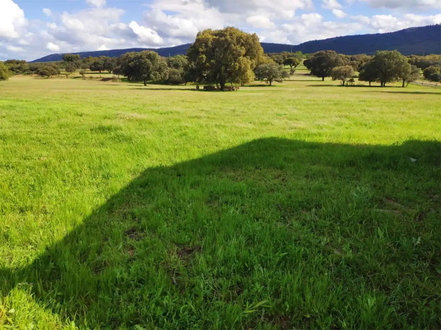 Grundstücke zum Verkauf in Alcoba
