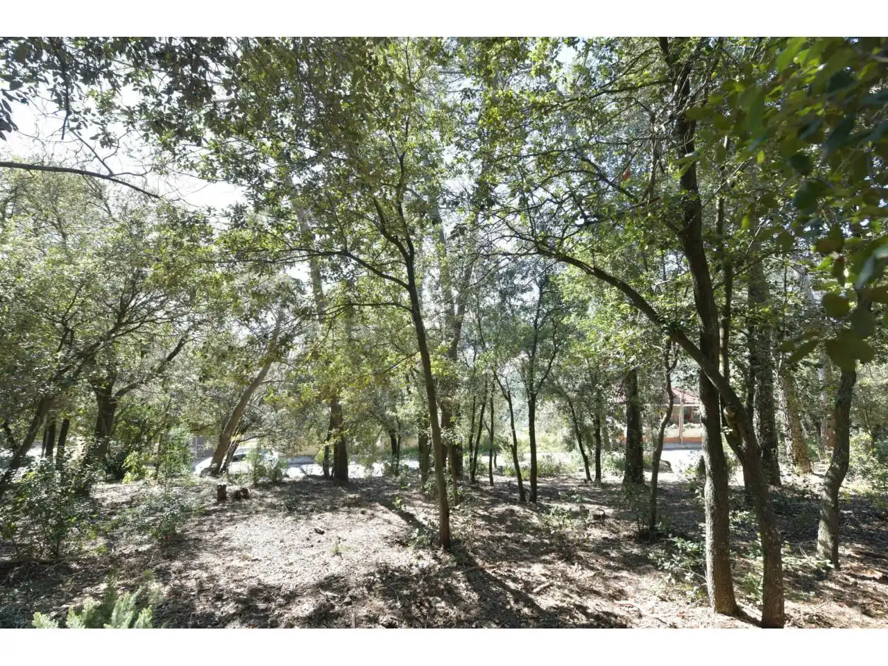 Wohnbaugrundstück zum Verkauf in El Racó - Sant Feliu del Racó, imagen 13