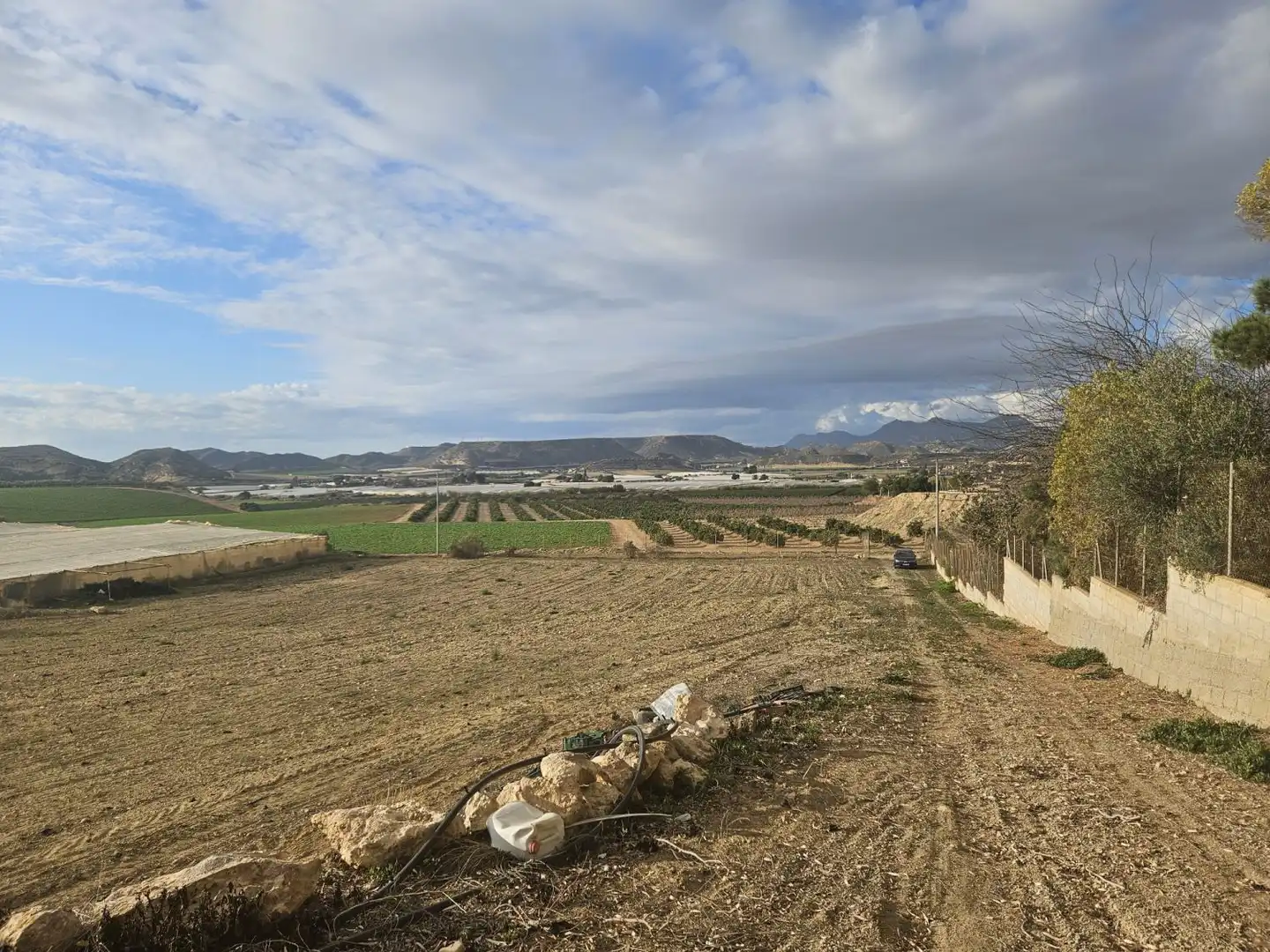 Finca rústica en venta en Águilas