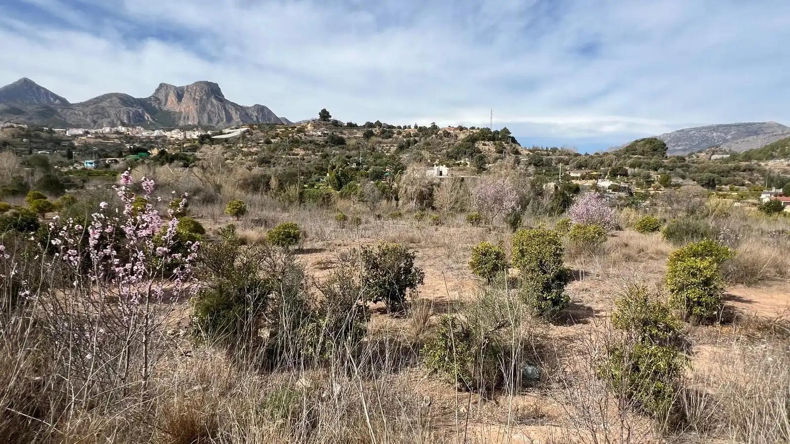 Terrain rustique à vendre à El Tossal - Bello Horizonte, imagen 6