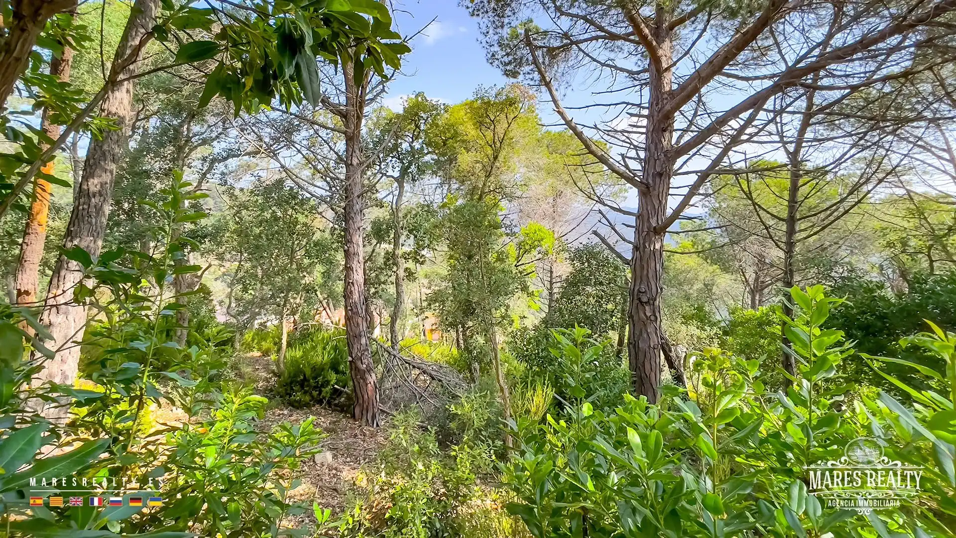 Grundstücke und Bauplätze zum Verkauf in Serra Brava, imagen 5