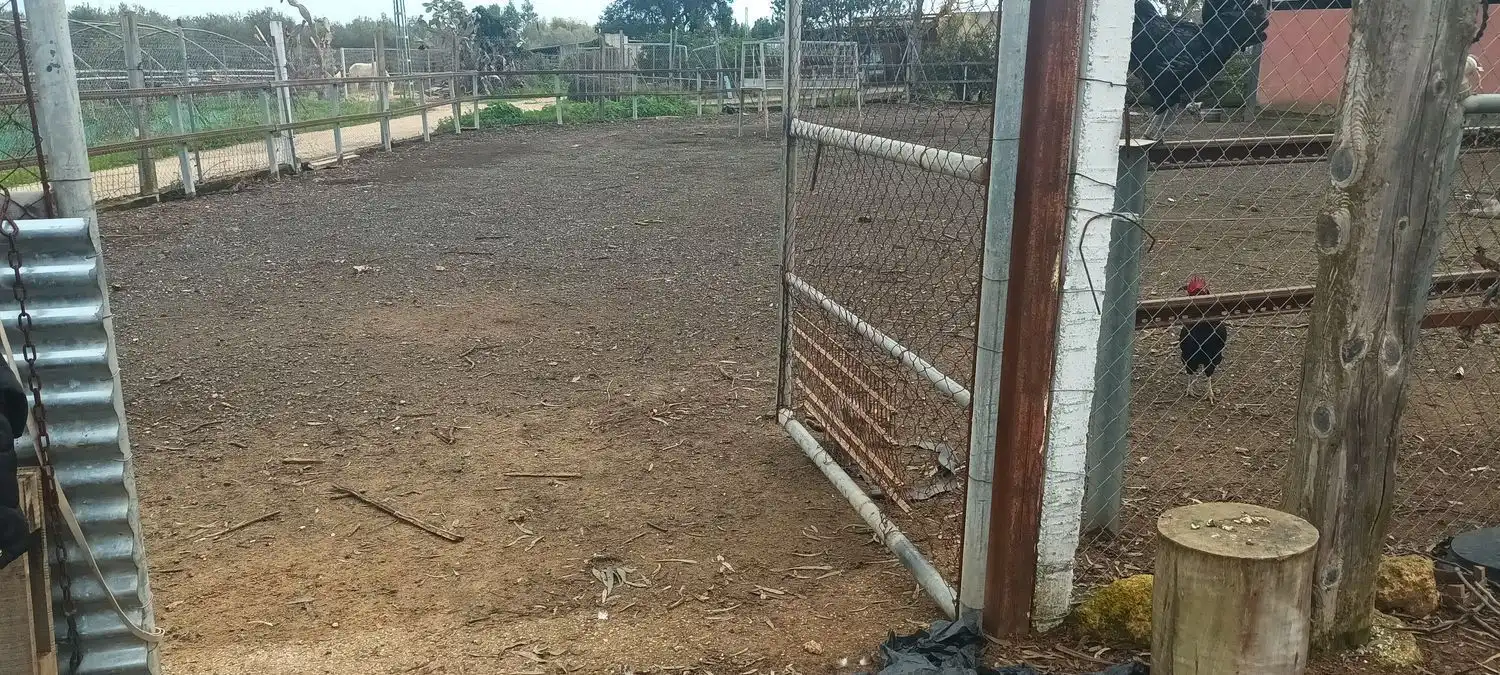 Terreni e lotti in vendita a Sevilla Cadiz, imagen 6