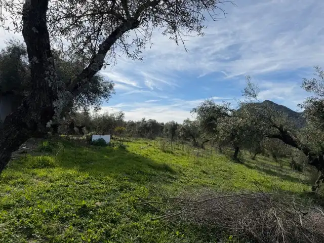 Land for sale in Ubrique