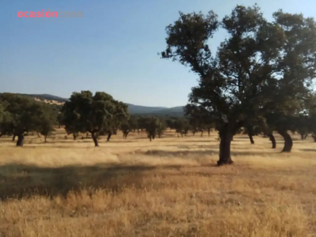 Country homes for sale in Torrecampo