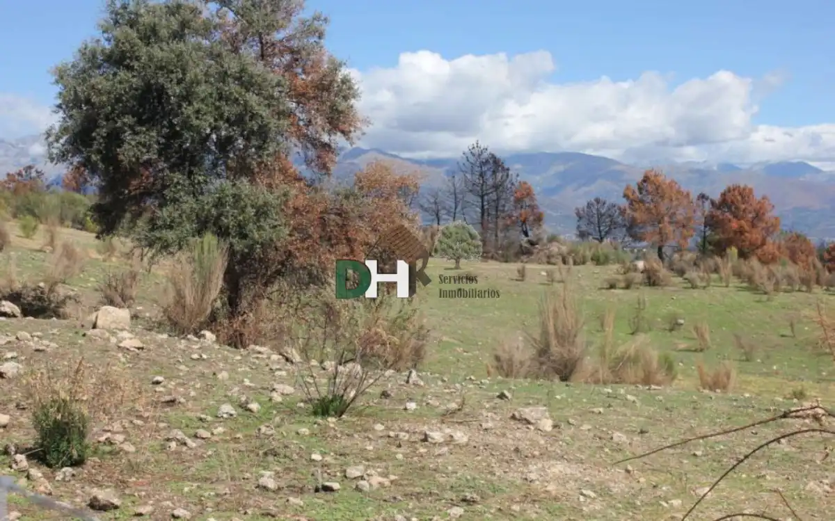 Terreni e lotti in vendita a Ruta de la Plata, imagen 3