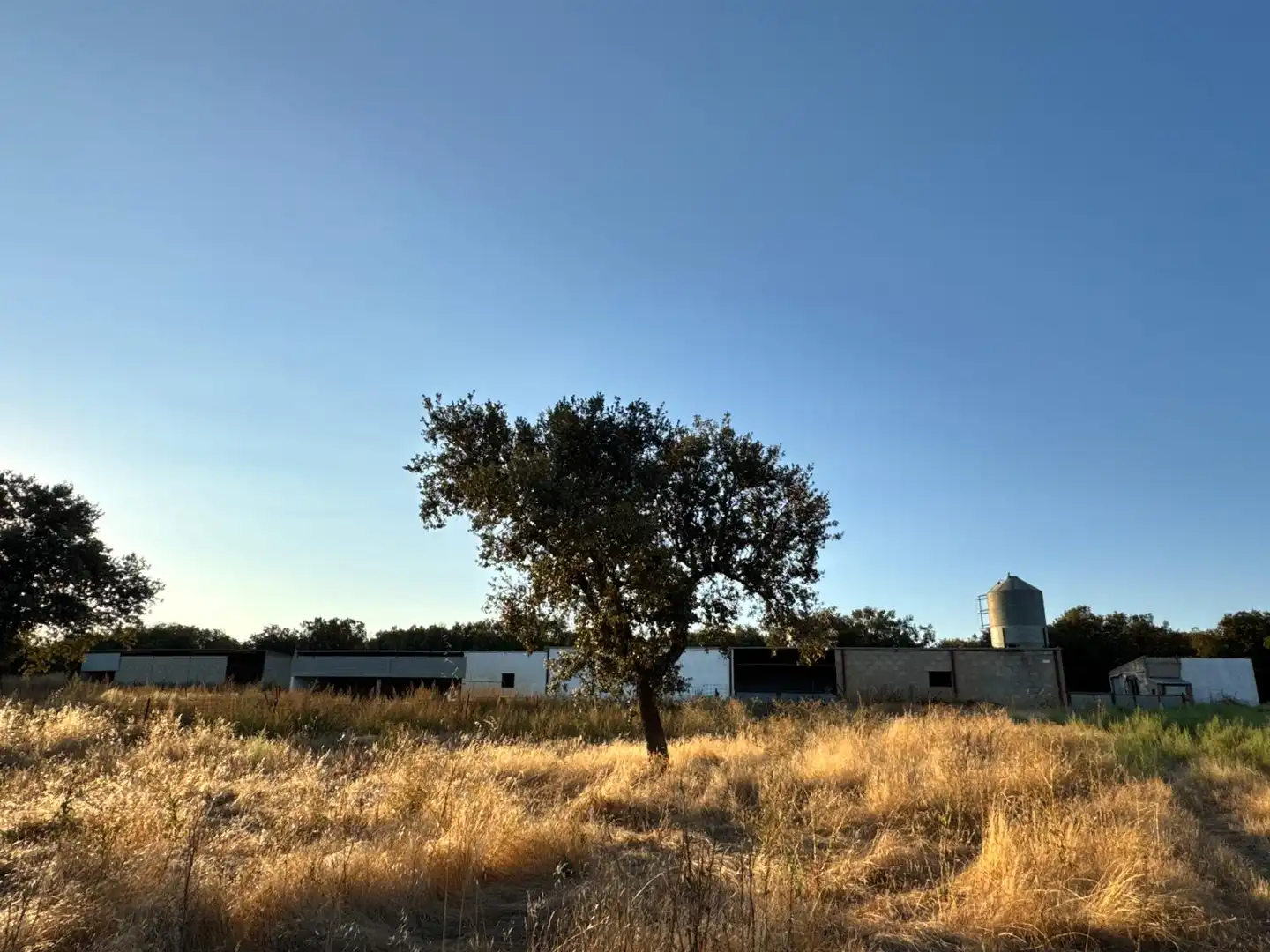 Vista exterior de Terreno en venta en La Orbada 