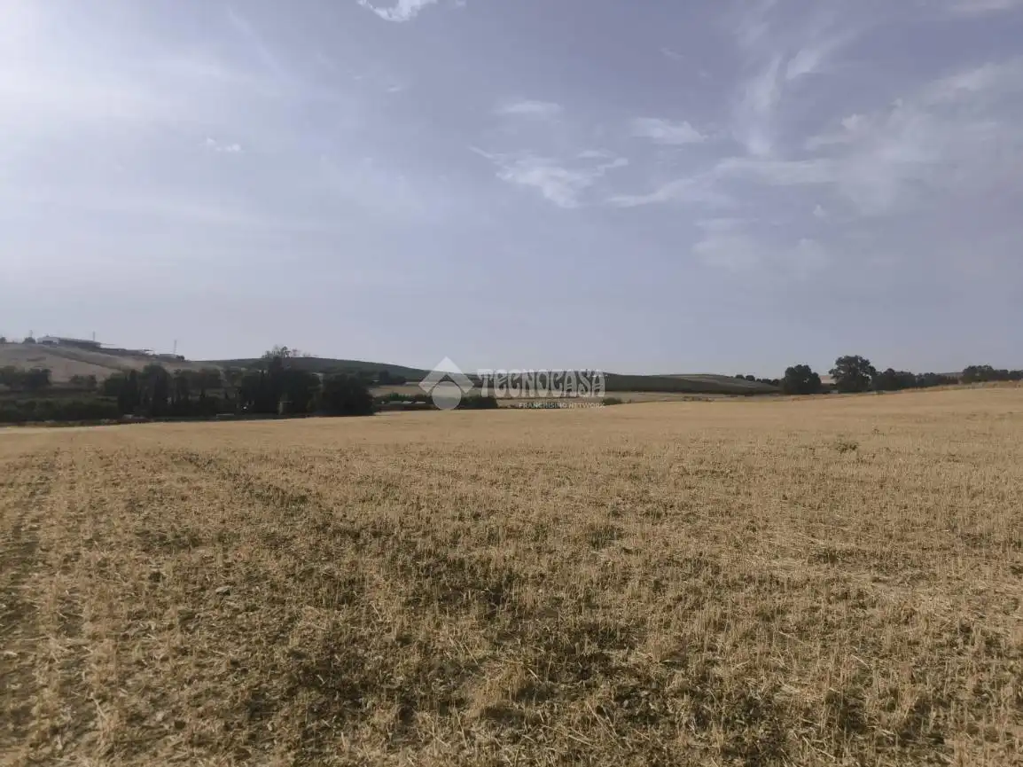 Rustikales Grundstück zum Verkauf in Arcos de la Frontera, imagen 2