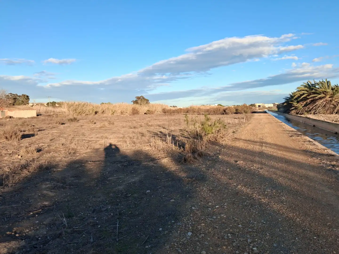 Terreno rustico in vendita a San Fulgencio