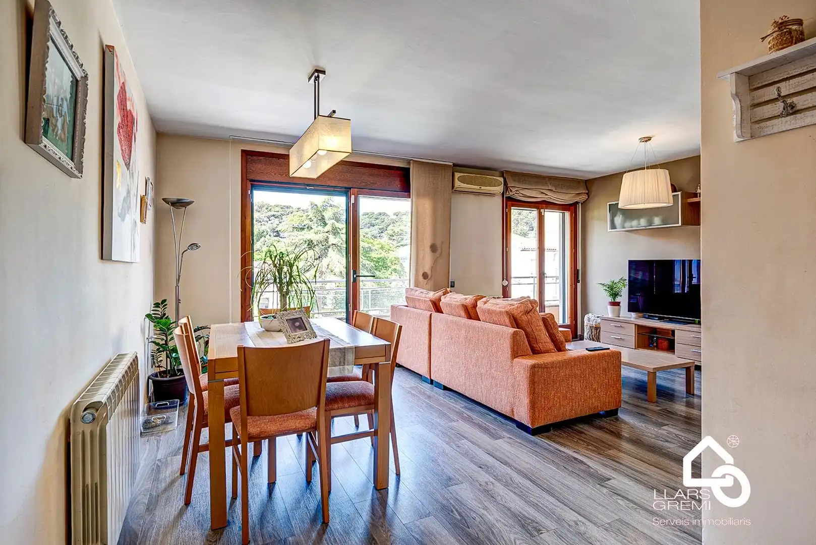 Sala d'estar de Dúplex en venda en Capellades amb Calefacció i Terrassa