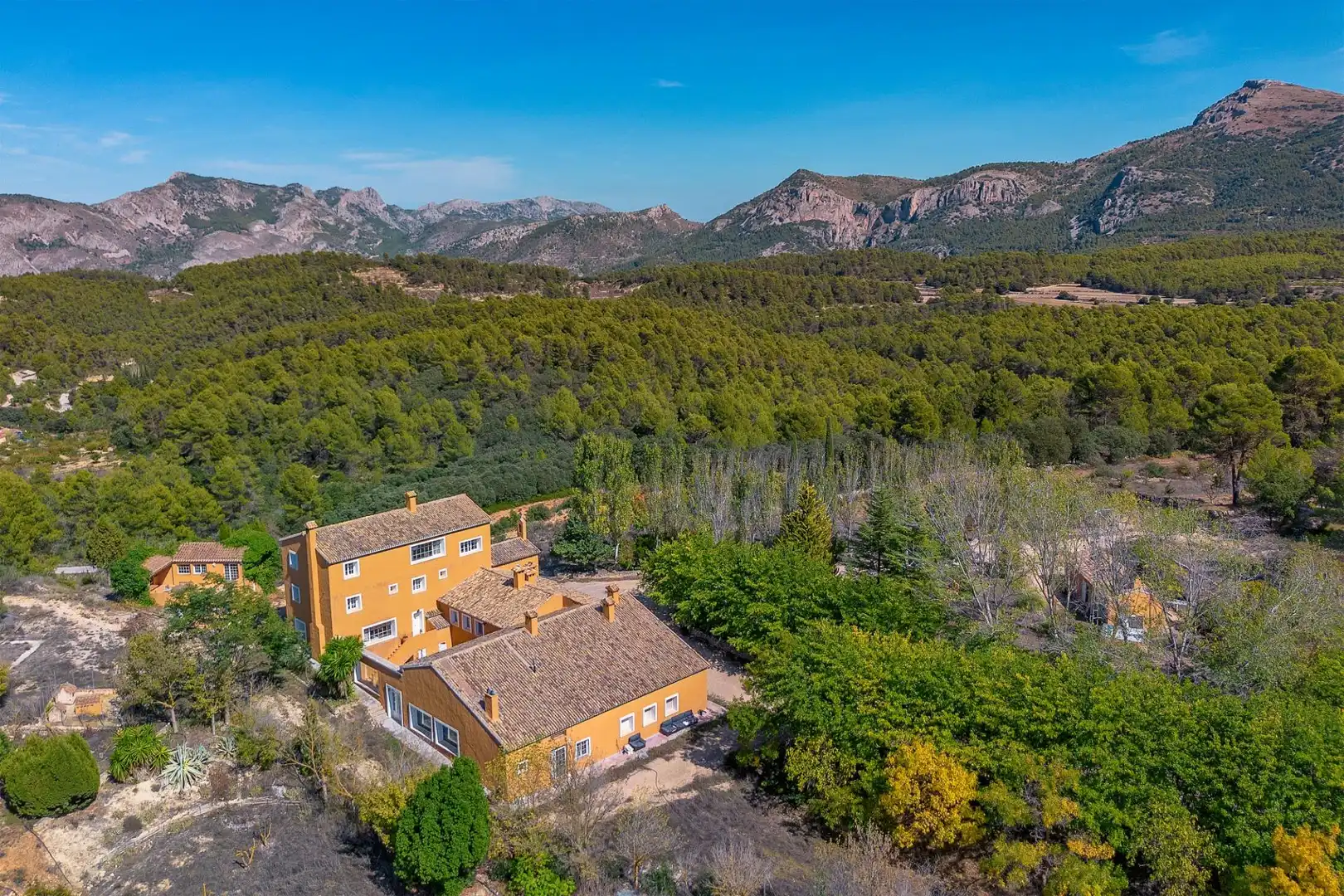 Casa o xalet en venda a Penàguila