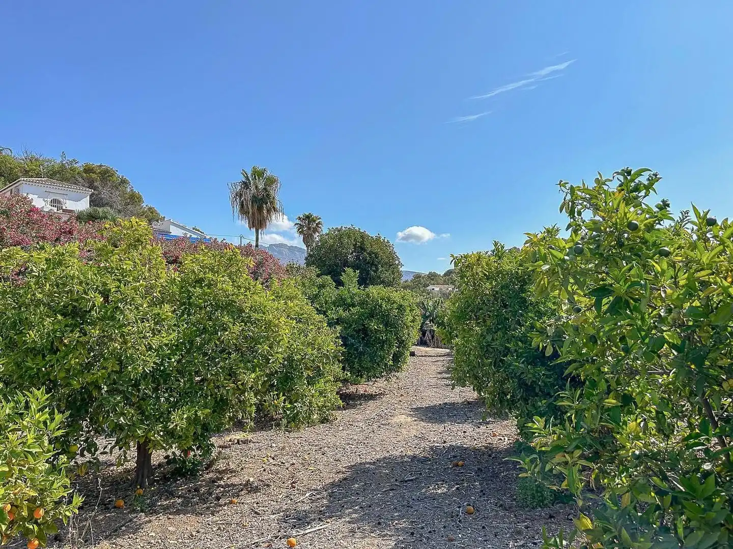House for sale in Partida de Barranquet, imagen 31