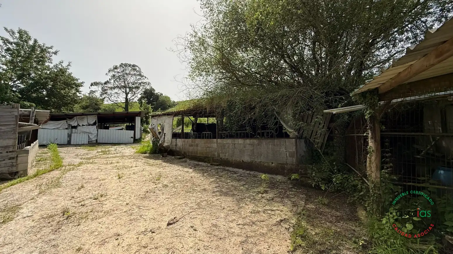 Exterior view of Industrial buildings for sale in Siero