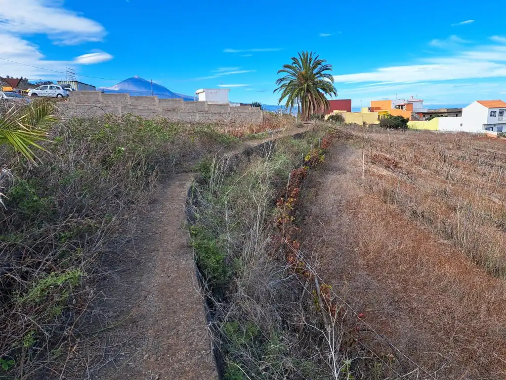 Rural land for sale in El Sauzal, imagen 19