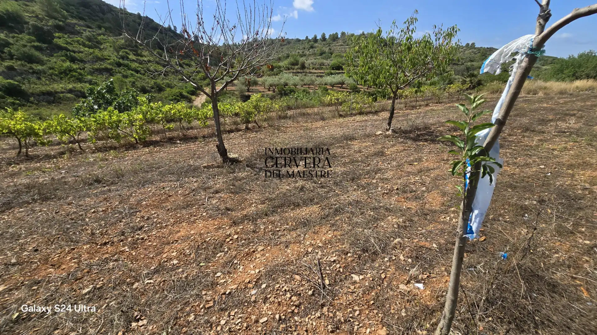 Terreno rustico in vendita a Cervera del Maestre, imagen 16