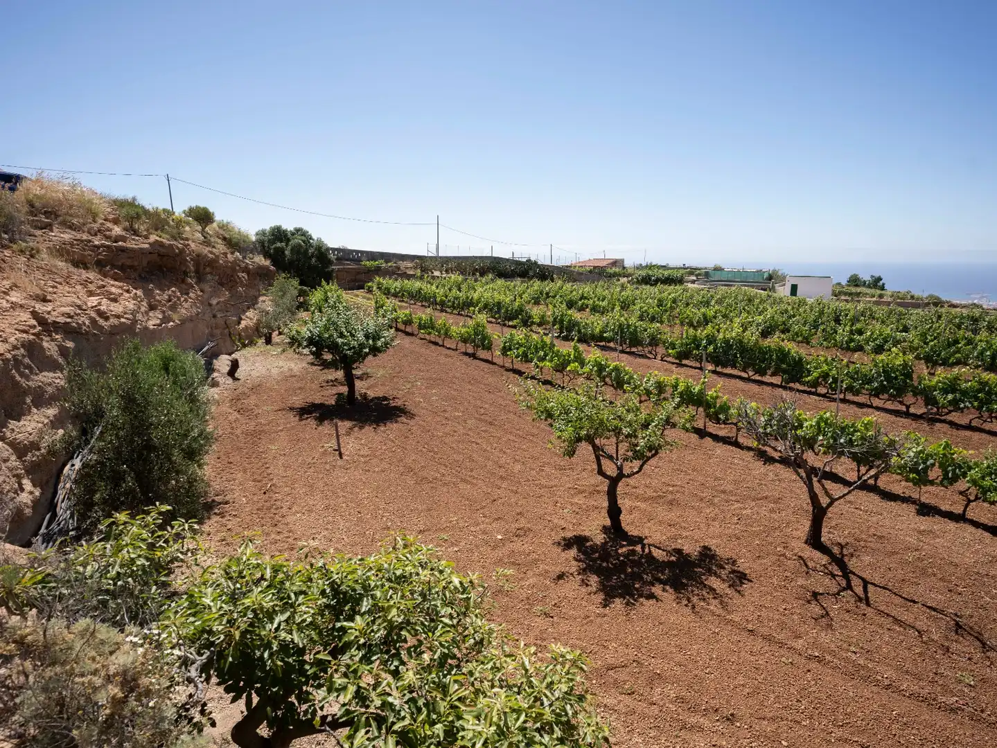 Terreno rustico in vendita a N/A, imagen 22