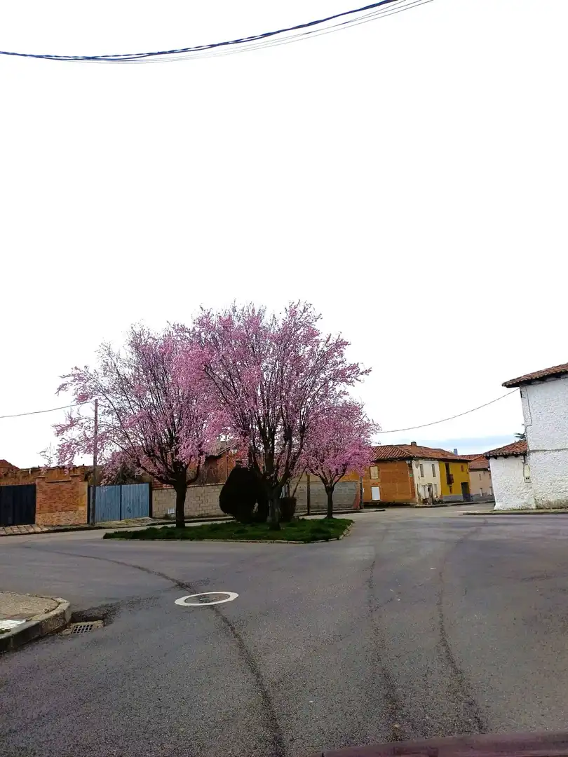Vista exterior de Finca rústica en venda en Valverde de la Virgen amb Calefacció i Terrassa