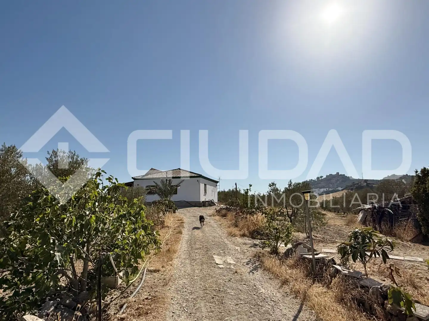 Casa rústica en venda a Espera, imagen 2