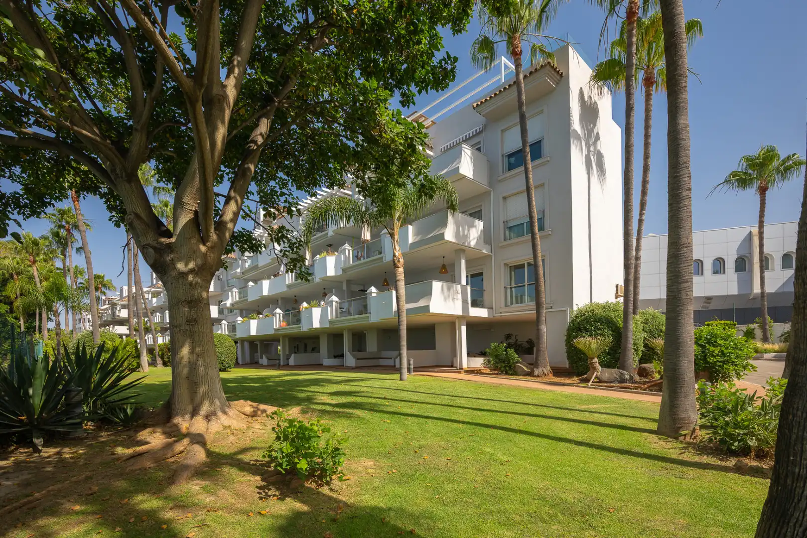 Penthouse with terrace for sale in Estepona Pueblo, imagen 31