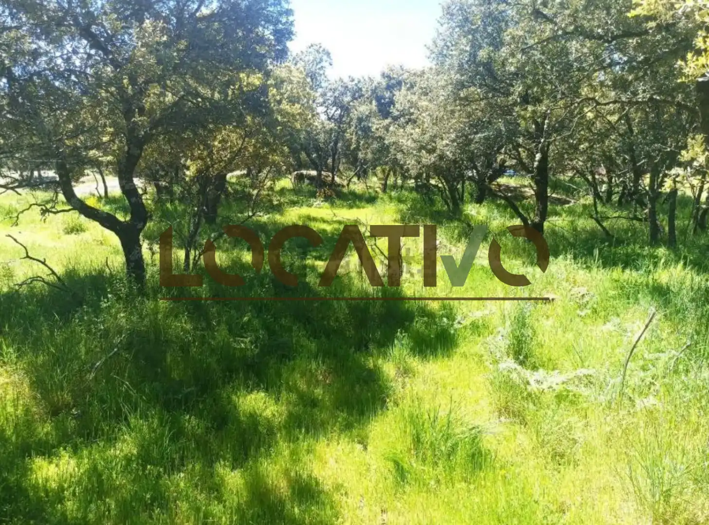 Terrenys i solars en venda a Las Zorreras - Monte Encinar, imagen 7
