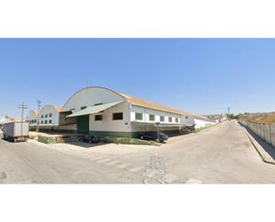 Exterior view of Industrial buildings for sale in Molina de Segura