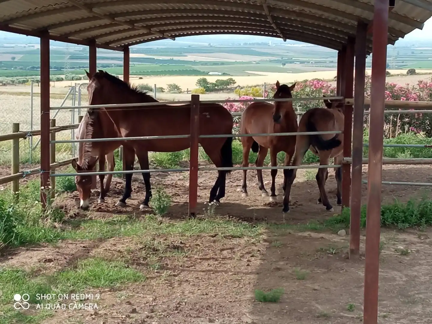 Terreno en venta en Polígono Industrial Estanquillo, Burguillos