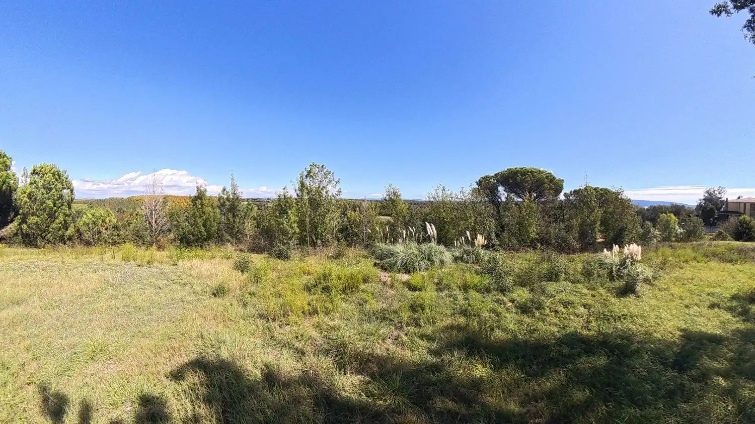 Terreno rústico en venta en Avenida Barceloneta 58, imagen 8