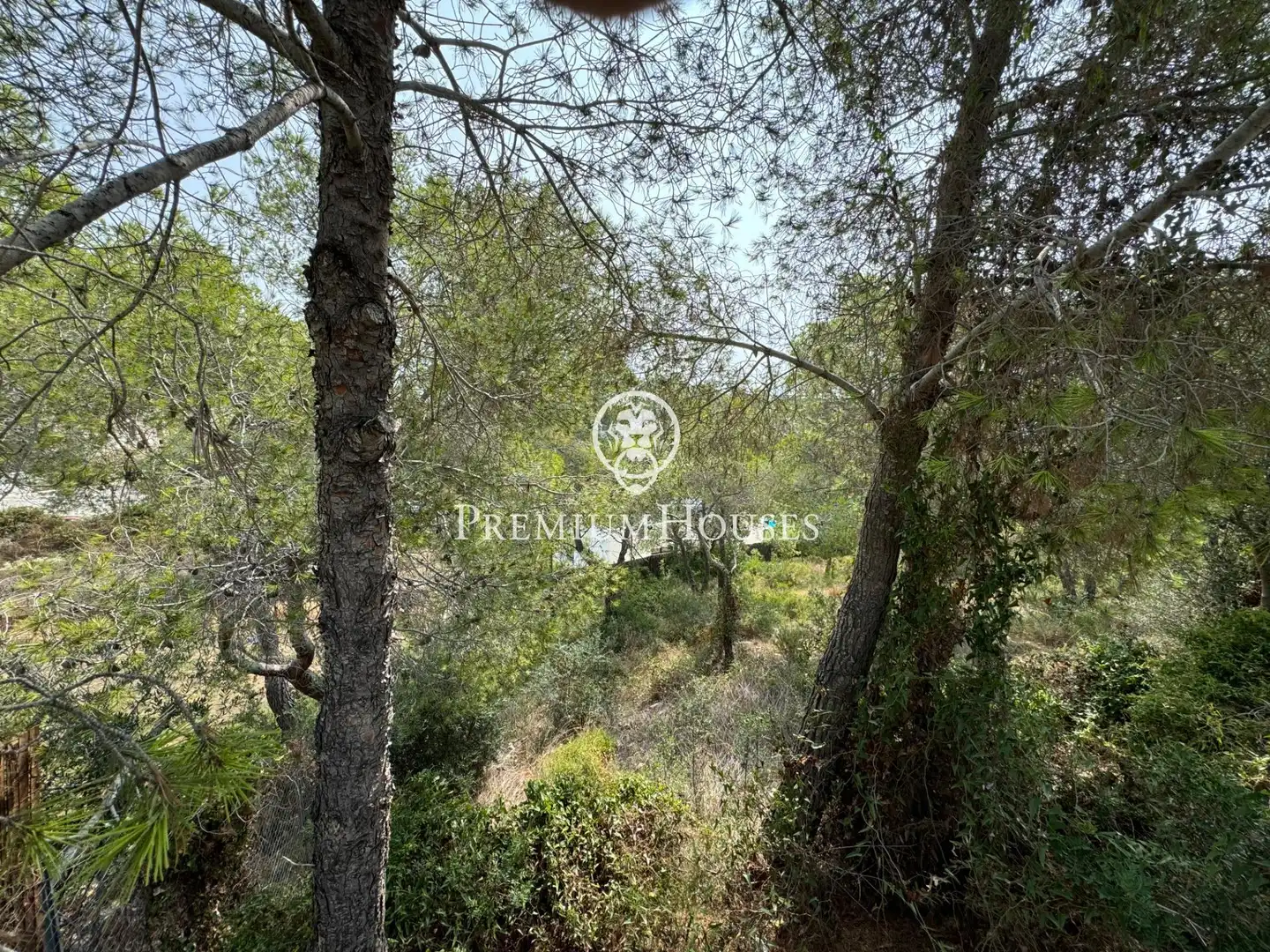 Terreny residencial en venda a Avenida del Camí de Miralpeix, imagen 6