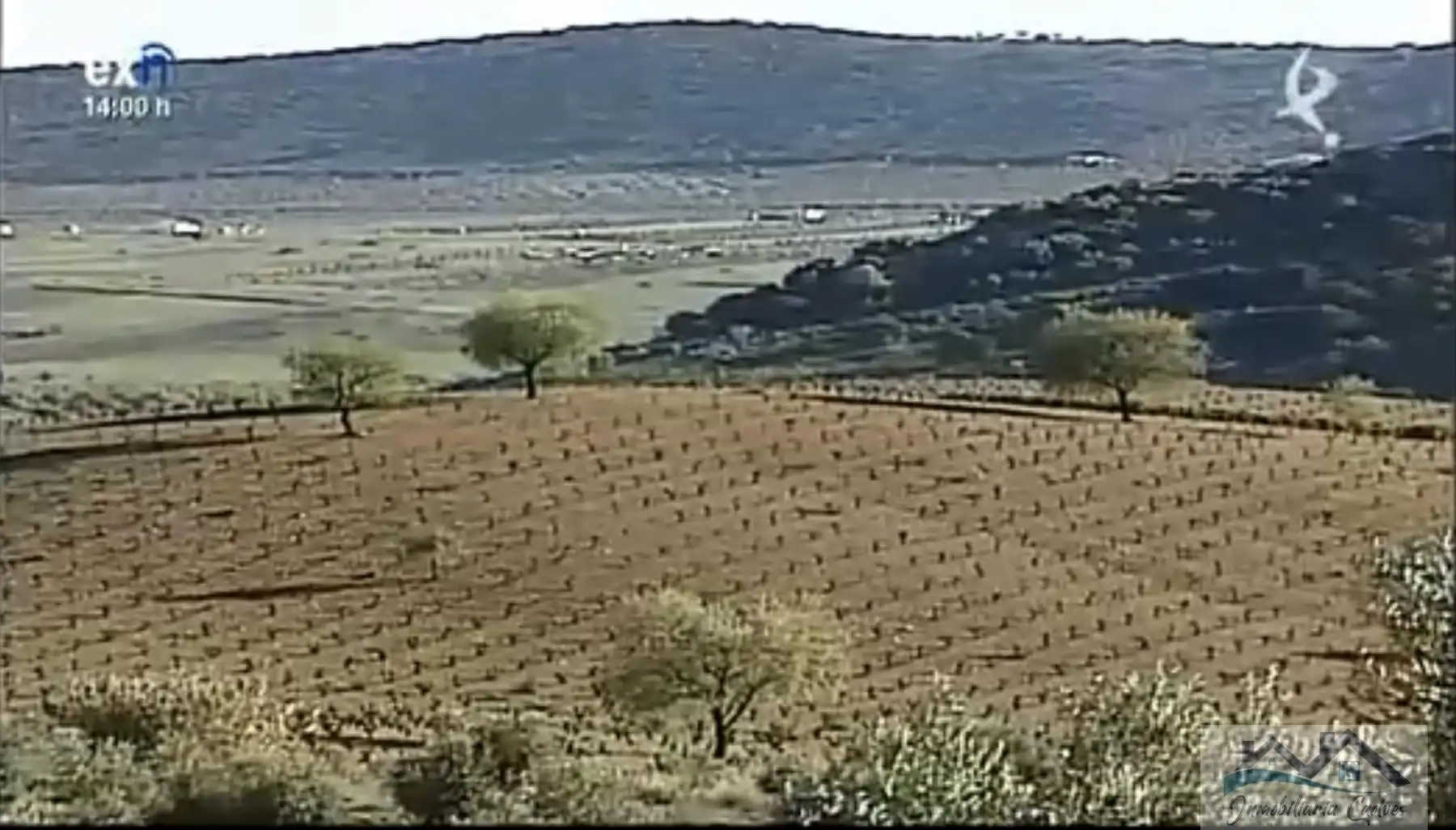 Houses for sale in Fuente del Maestre
