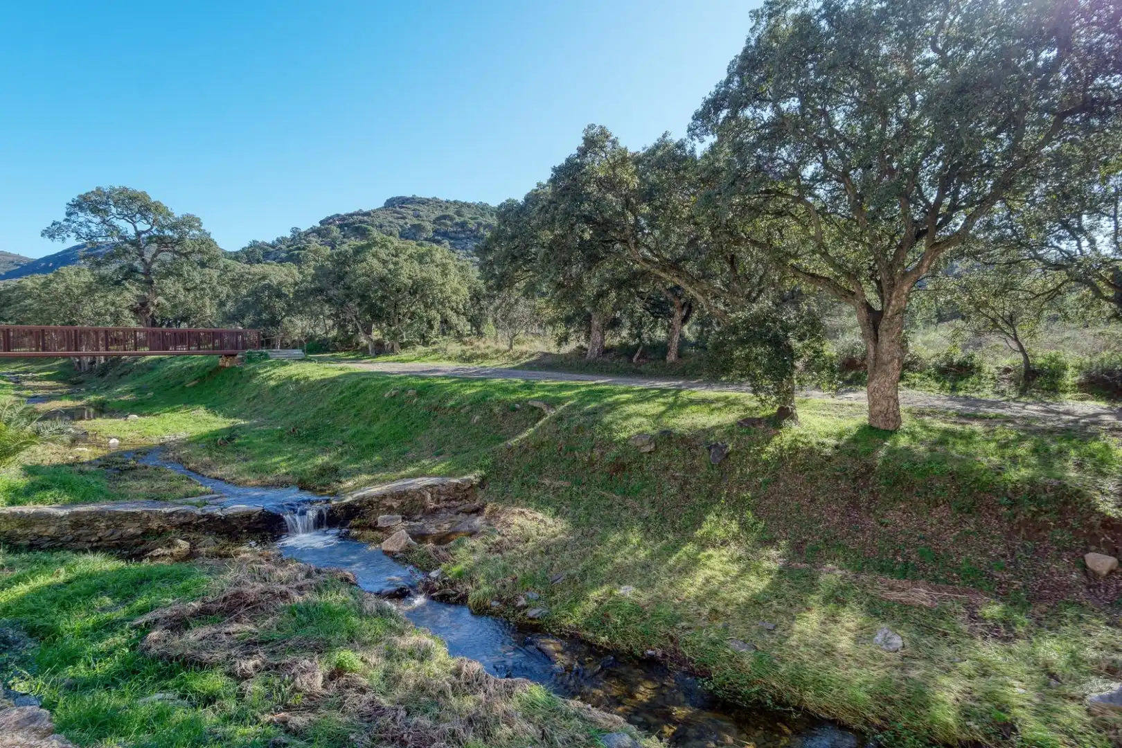 Vista exterior de Planta baja en venta en Roses con Aire acondicionado, Parquet y Terraza