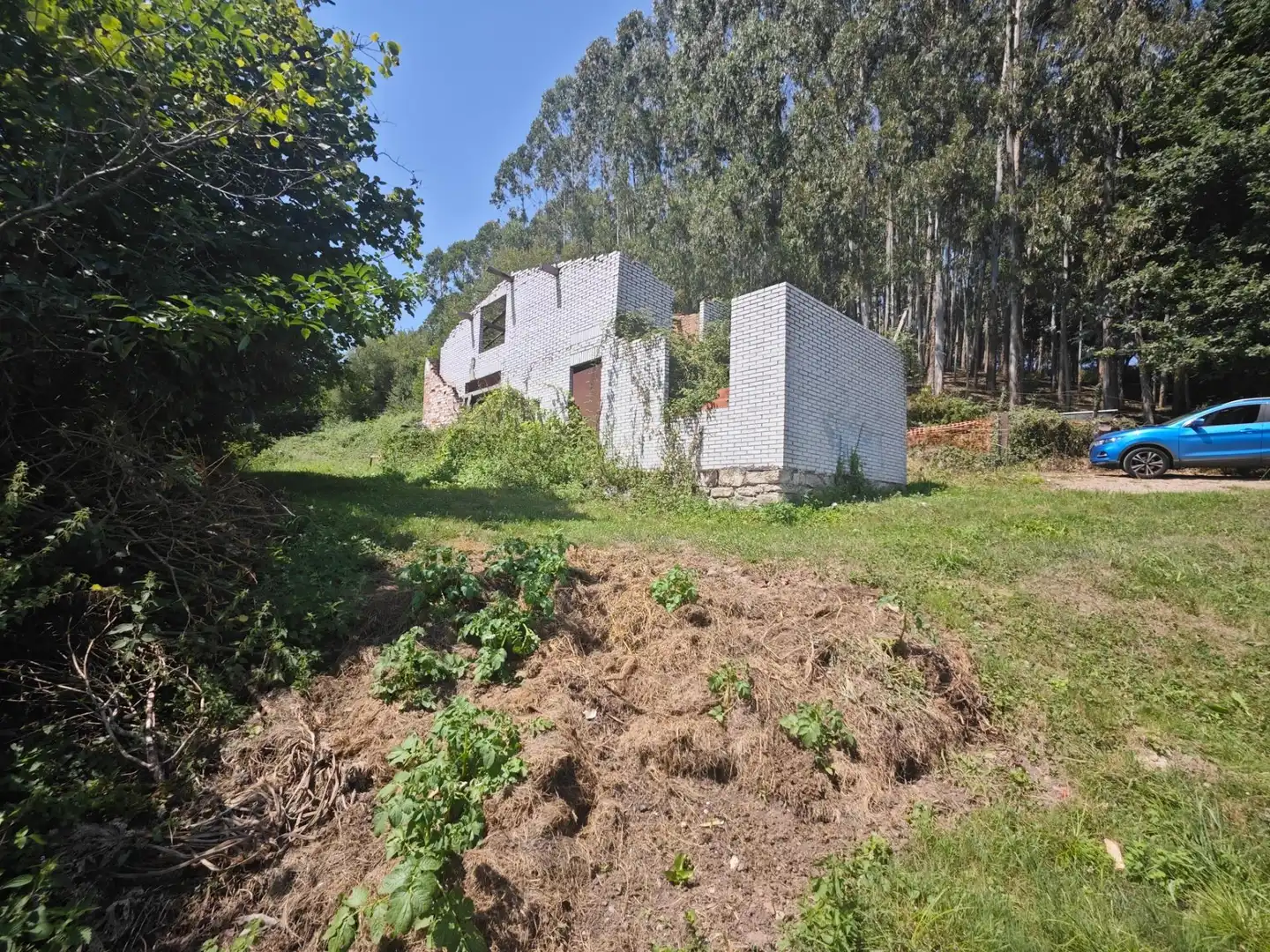 Vista exterior de Finca rústica en venta en Cabezón de la Sal