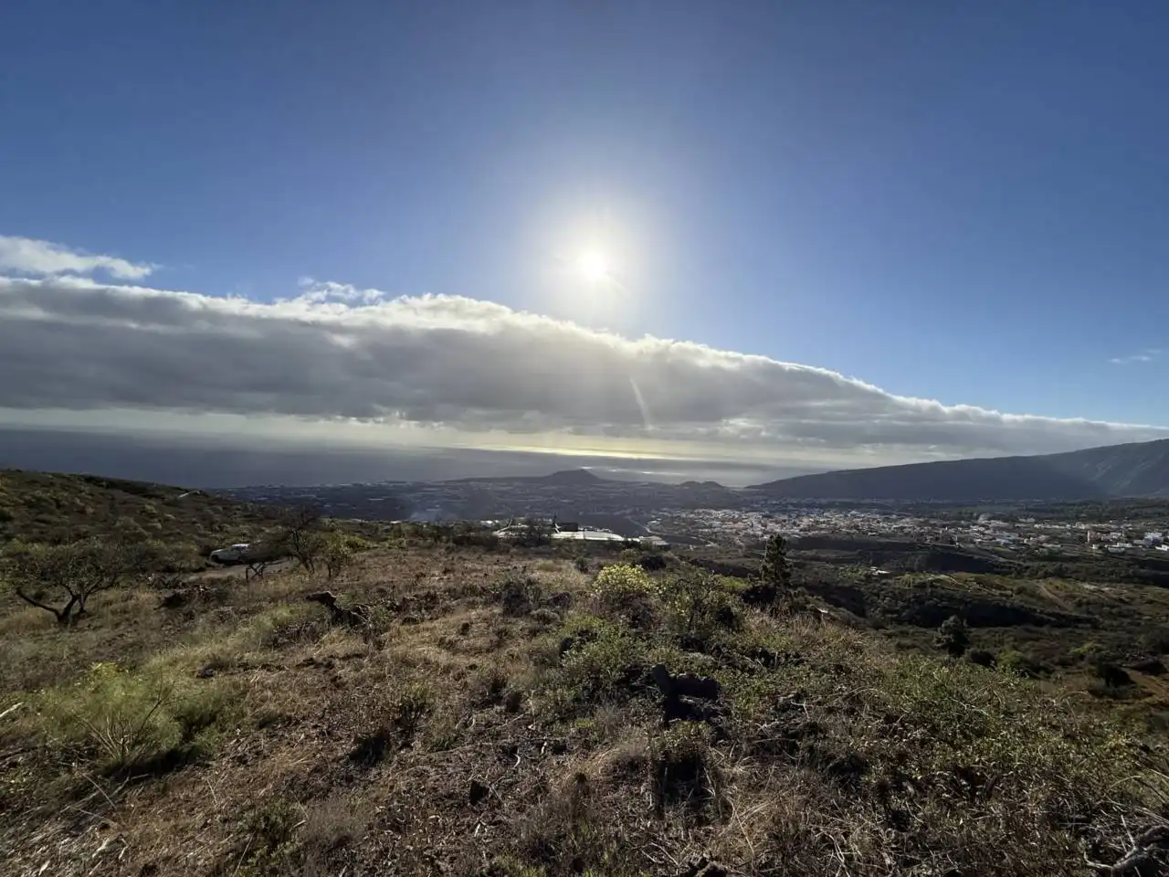 Rural land for sale in Camino Montesinas, imagen 14