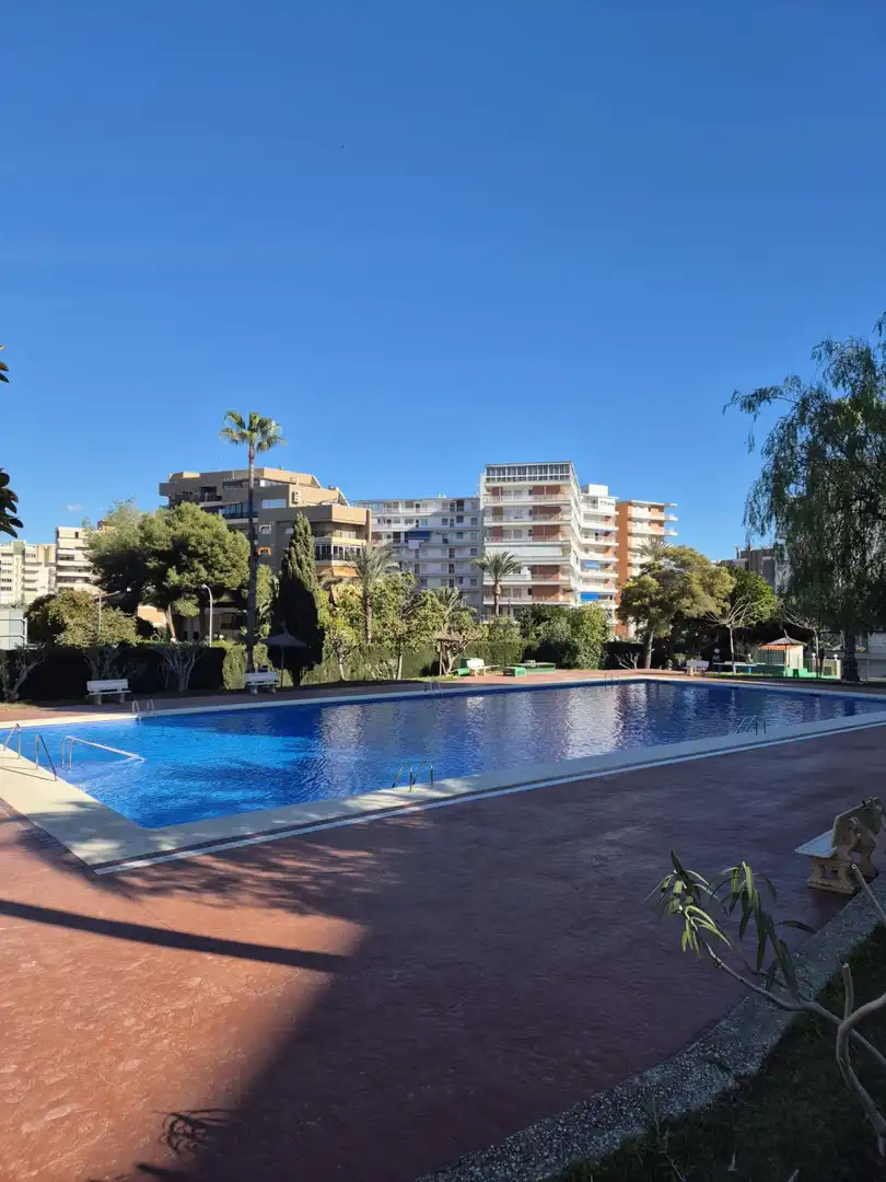 Pis amb piscina en venda a Playa de San Juan - El Cabo de las Huertas, imagen 29