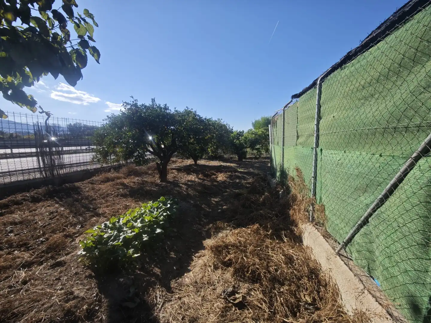 Land for sale in Murcia