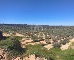 Residential for sale in Corbera d'Ebre