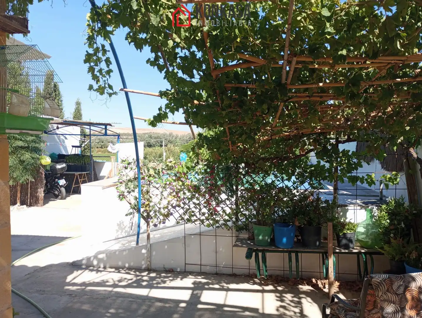 Maison avec piscine à vendre à Arcos de la Frontera, imagen 34