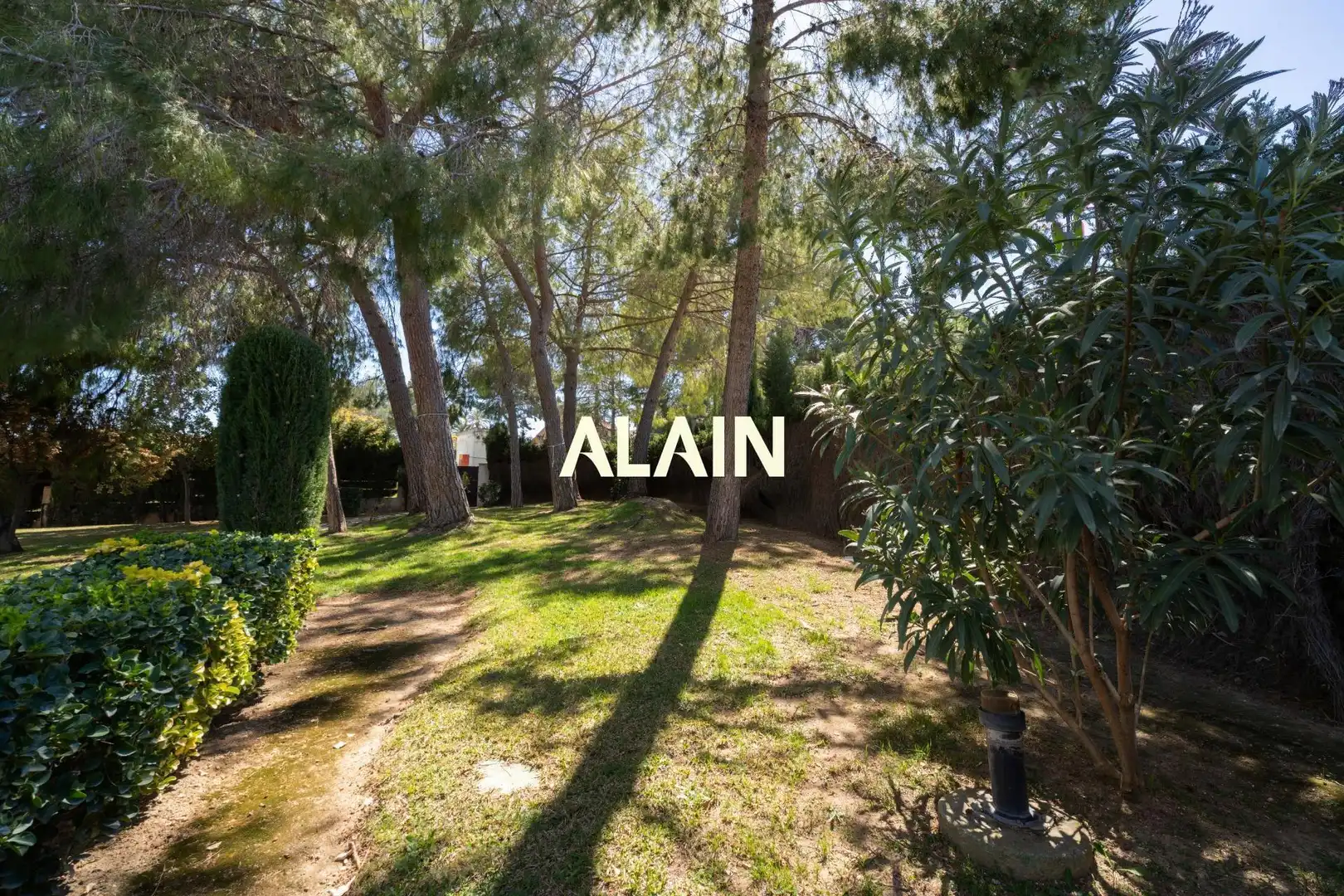 Jardín de Casa o chalet en venta en Chiva con Jardín privado, Terraza y Trastero