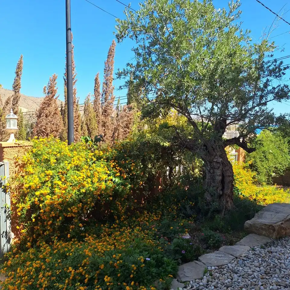 Casa con piscina en venta en Carrer d'Oriola, imagen 32