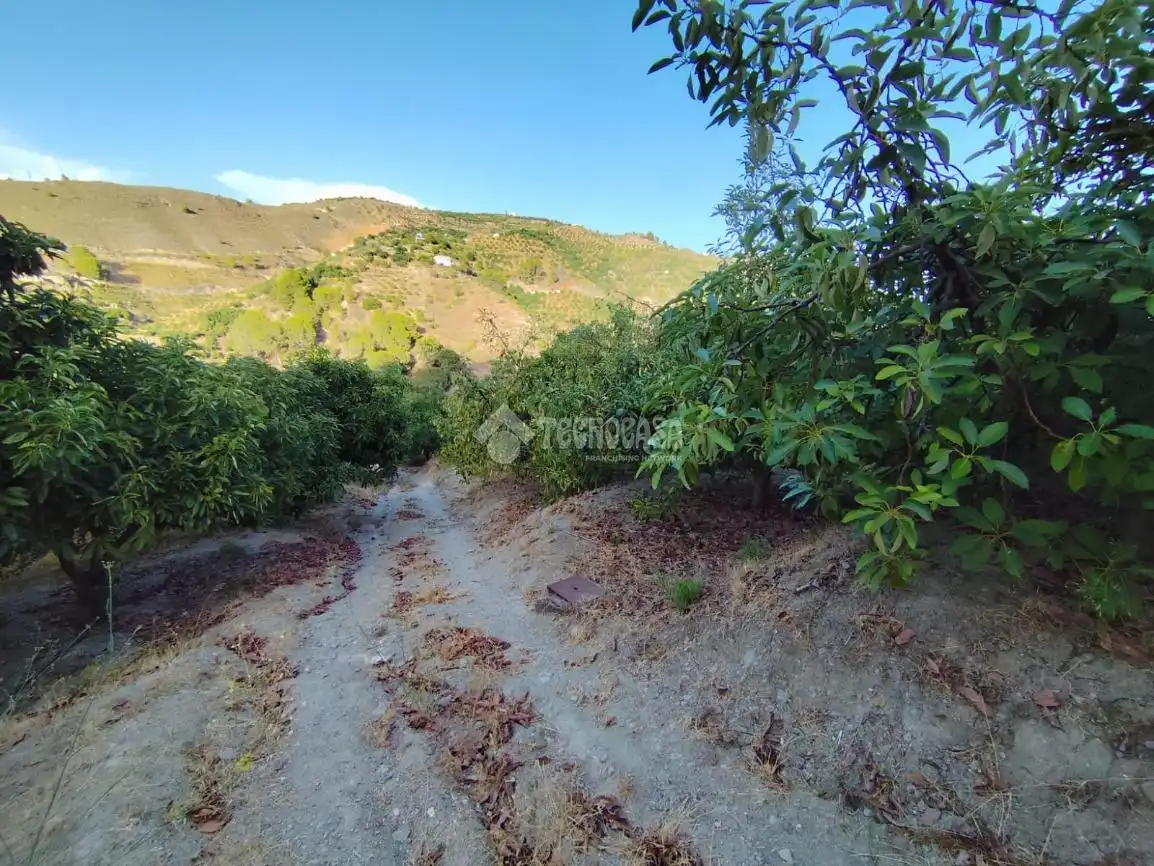 Terreno rustico in vendita a Los Guájares, imagen 24