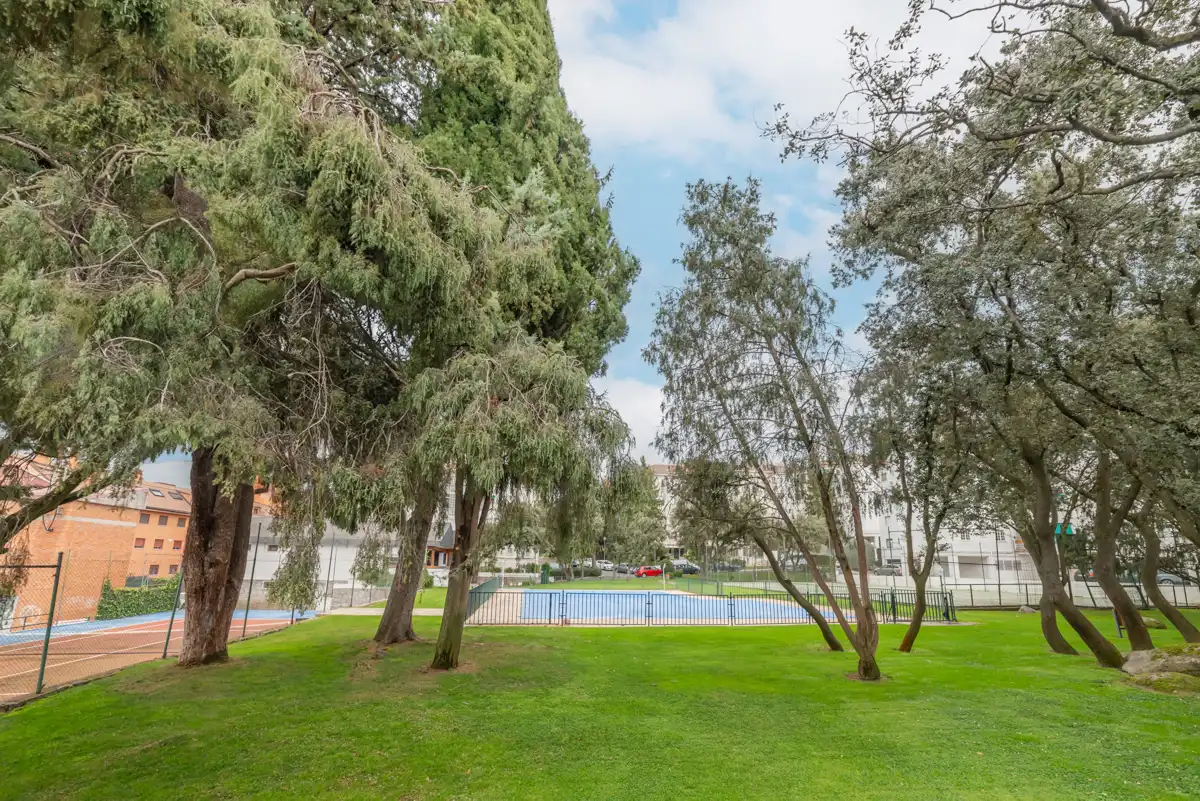 Piscina de Pis en venda en Collado Villalba amb Aire condicionat, Calefacció i Terrassa