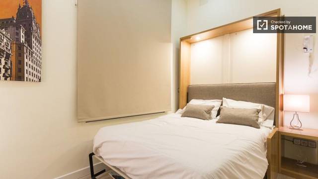 Piso en Alquiler en Universidad - Malasaña