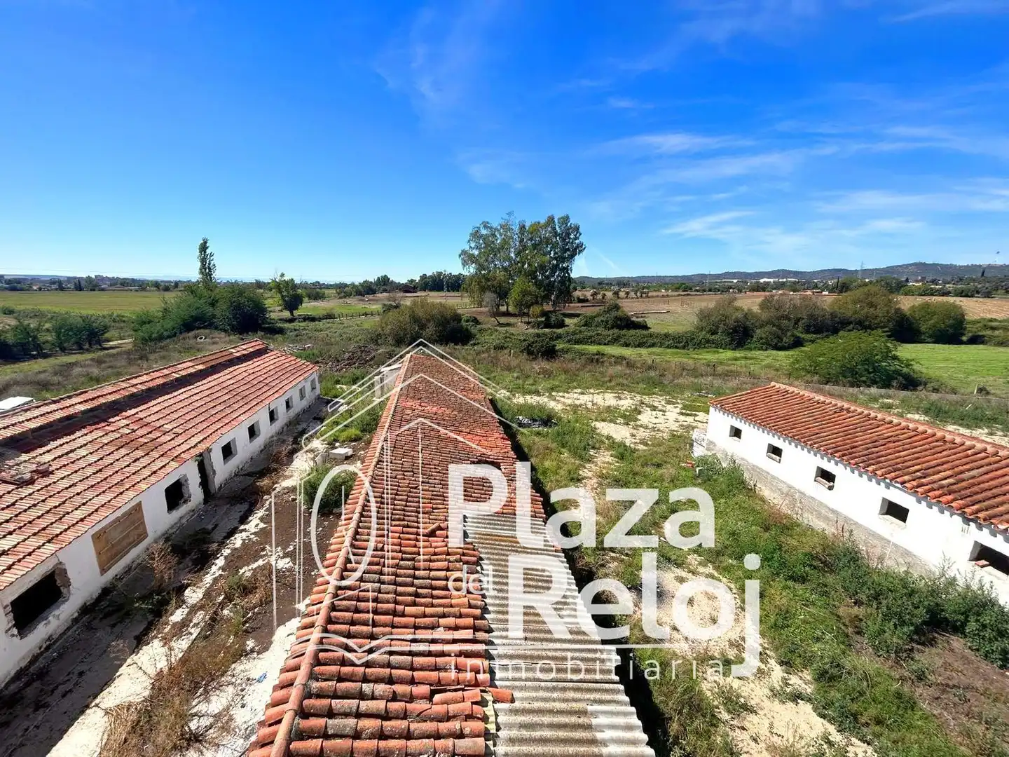 Land for sale in Pepino