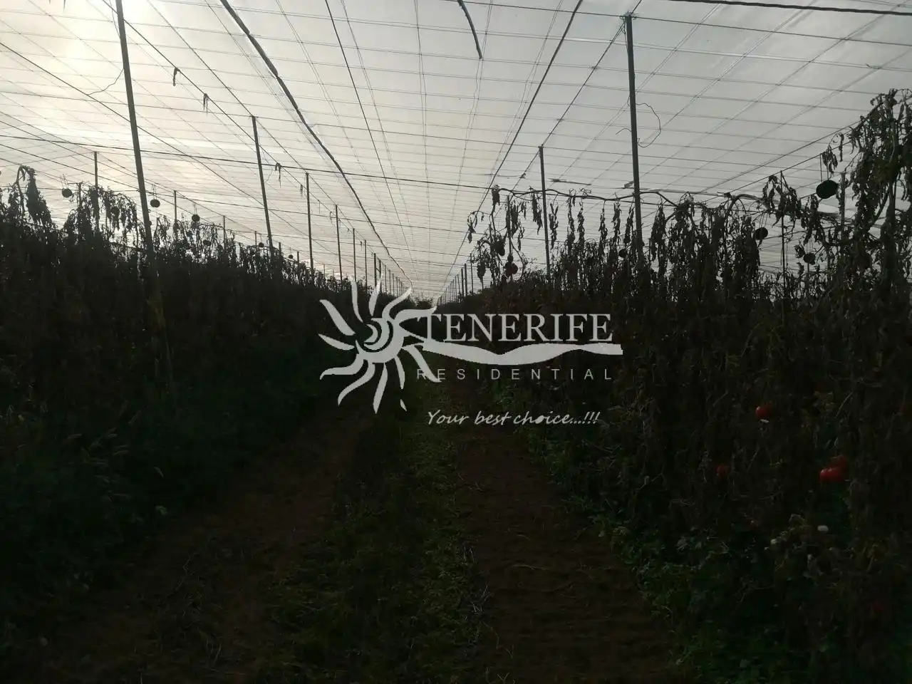 Terreno rústico en venta en TF-82, imagen 8