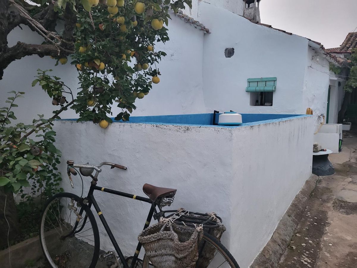 Vista exterior de Casa o xalet en venda en Sisante amb Piscina