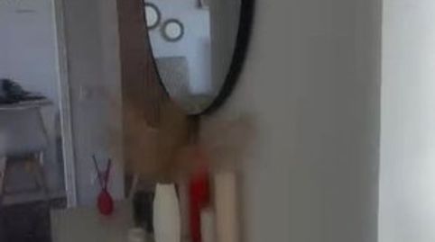 Foto 2 de Piso en venta en Albaida, Valencia