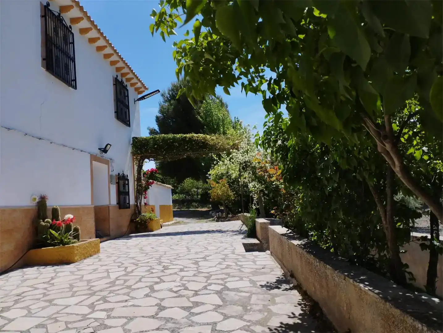 Vista exterior de Piso en venta en Pozo Alcón